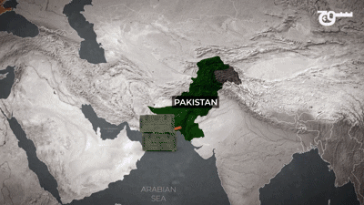 Pakistani Arms in Ukraine